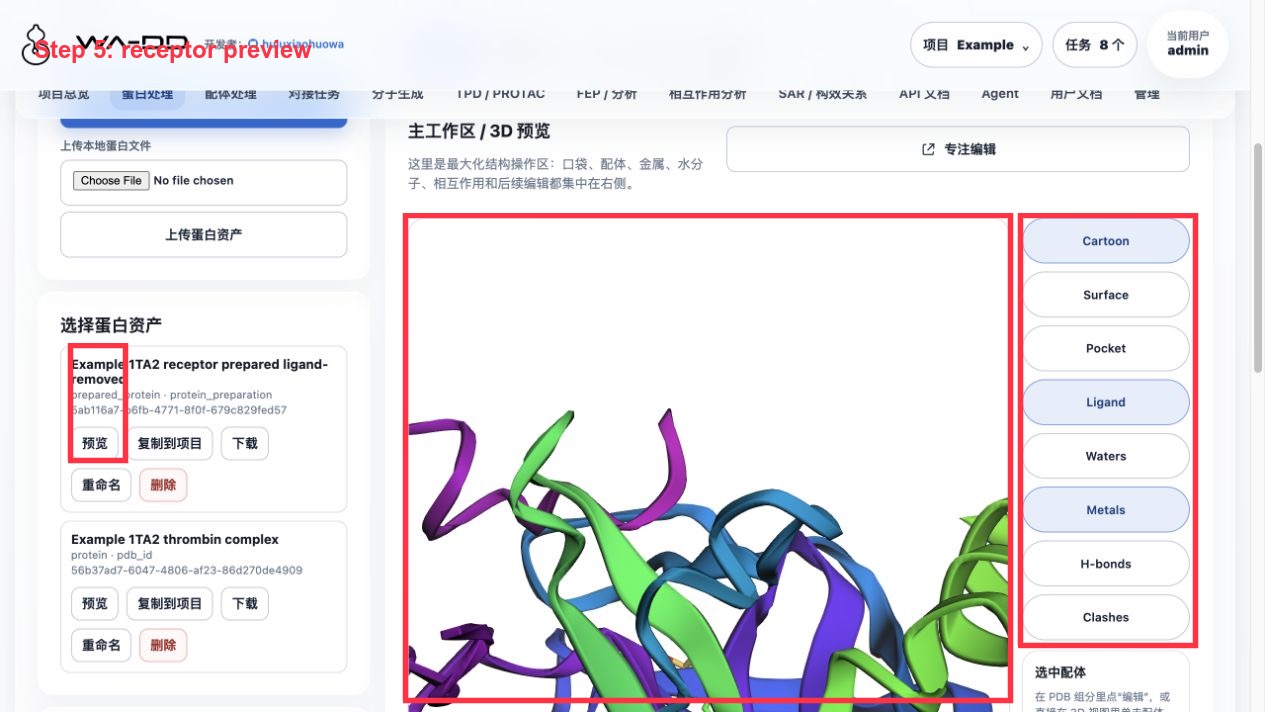 Step 5: Preview the prepared receptor structure and confirm the 3D area and right-side display controls